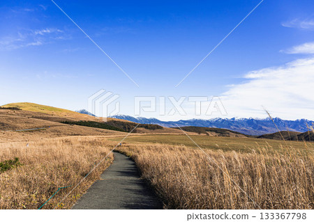 The walking trail to Kurumayama Plateau The walking trail to Kurumayama Plateau 133367798