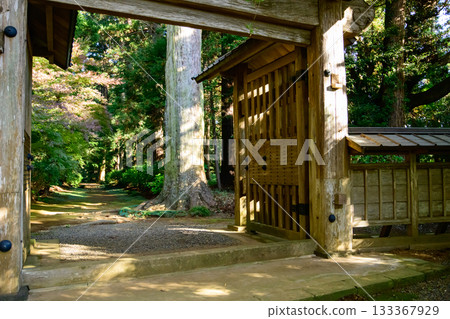 Important Cultural Property: Iitakaji Temple Main Gate, Morning Sunlight Filtering Through the Trees, Chiba Prefecture 133367929