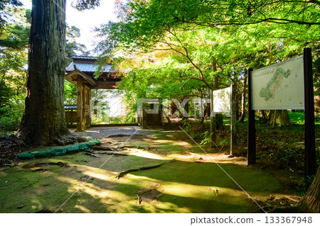 清晨的陽光透過飯高寺的正門灑下，飯高寺是千葉縣的重要文化遺產。 133367948