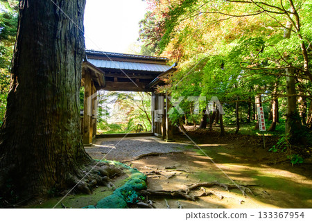 Morning sun shines through the main gate of Iitakaji Temple, an important cultural property in Chiba Prefecture Morning sun shines through the main gate of Iitakaji Temple, an important cultural property in Chiba Prefecture 133367954