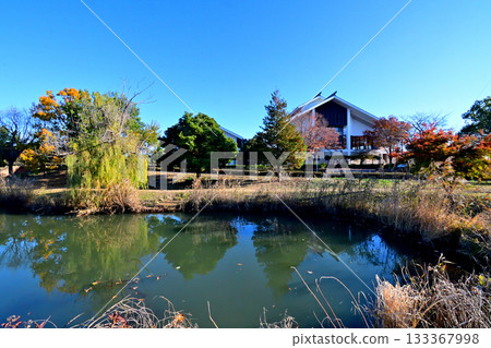 埼玉縣紀西綜合公園的秋葉 埼玉縣紀西綜合公園的秋葉 133367998