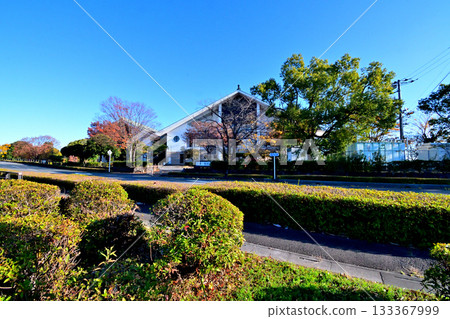 埼玉縣紀西綜合公園的秋葉 133367999