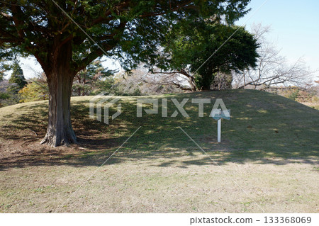 Chiba Prefecture Ryukakuji Tomb Group, Tomb No. 68 Chiba Prefecture Ryukakuji Tomb Group, Tomb No. 68 133368069