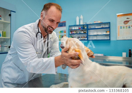 Veterinary care moments between a doctor and a happy dog in the clinic Veterinary care moments between a doctor and a happy dog in the clinic 133368105