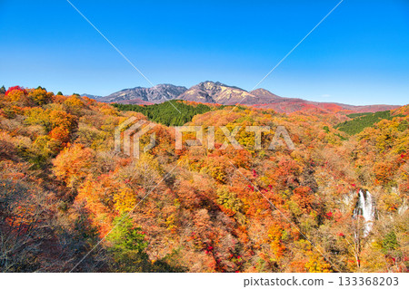 栃木縣日光市：秋葉掩映下的霧降瀑布，遠處是霧降高原。 133368203