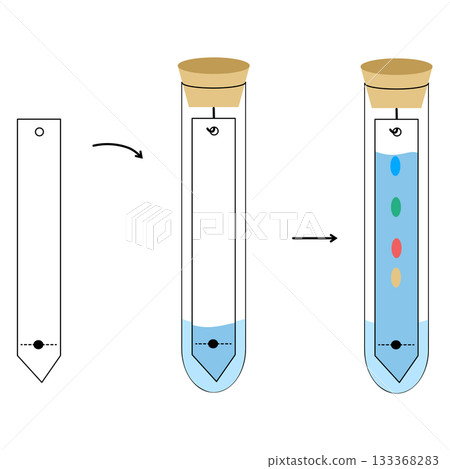 Paper Chromatography Experiment Diagram in a Test Tube, Separation of Components and Analysis Technique 133368283