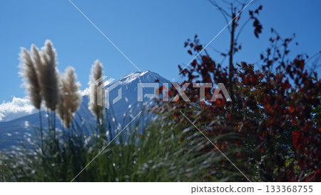 Mt. Fuji in autumn 133368755