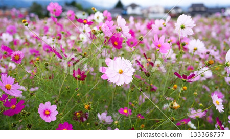 宇宙 宇宙 133368757