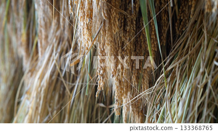 乾米 乾米 133368765