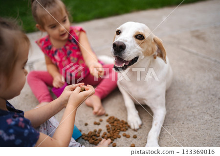 Joyful moments as children feed a friendly dog in the backyard 133369016