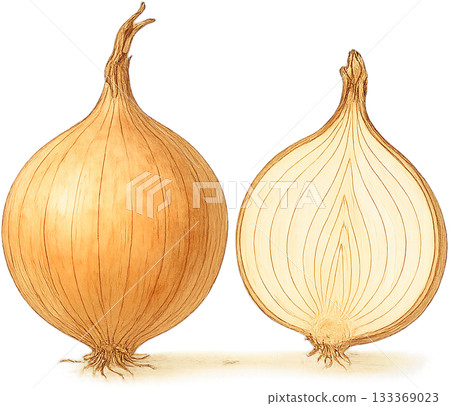 一幅線條柔和的插圖 133369023