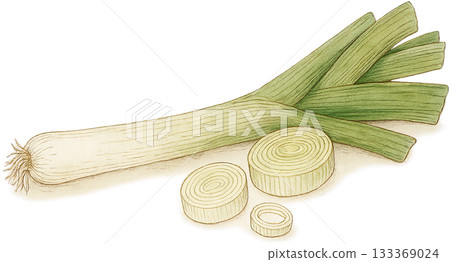 一幅線條柔和的插圖 133369024