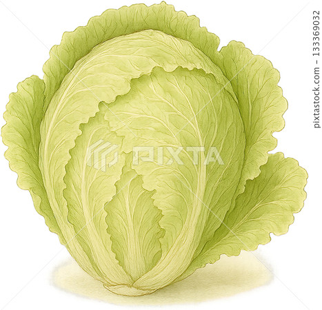 A subtle line drawing illustration 133369032