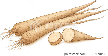 一幅線條柔和的插圖 一幅線條柔和的插圖 133369042