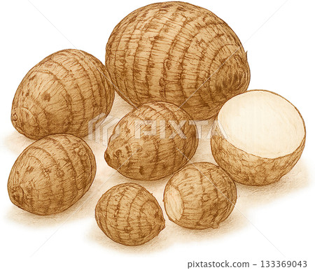 一幅線條柔和的插圖 133369043