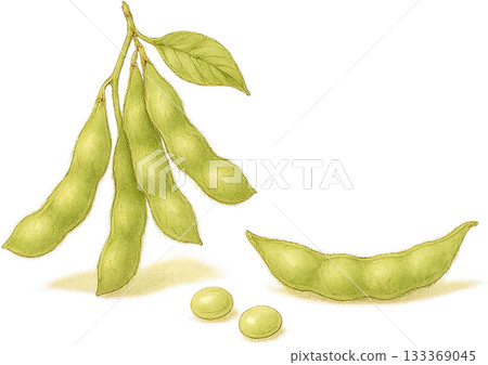 A subtle line drawing illustration 133369045