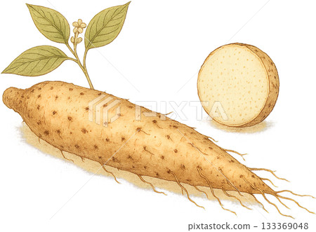 一幅線條柔和的插圖 一幅線條柔和的插圖 133369048