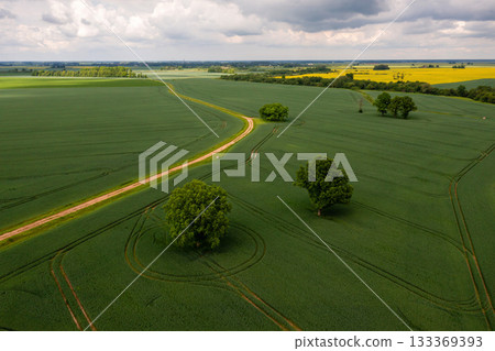 rural landscape before the storm, agricultural fields with lonely trees and a rural road rural landscape before the storm, agricultural fields with lonely trees and a rural road 133369393