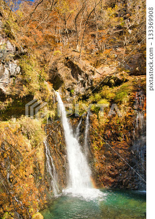 Urami Falls, dyed in autumn leaves, Nikko City, Tochigi Prefecture Urami Falls, dyed in autumn leaves, Nikko City, Tochigi Prefecture 133369908