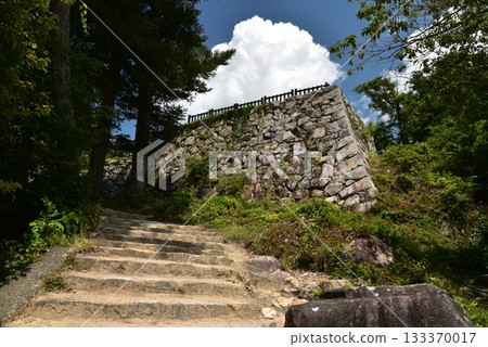 Binaka Matsuyama Castle的石垣 Binaka Matsuyama Castle的石垣 133370017
