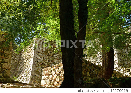 Binaka Matsuyama Castle的石垣 Binaka Matsuyama Castle的石垣 133370019