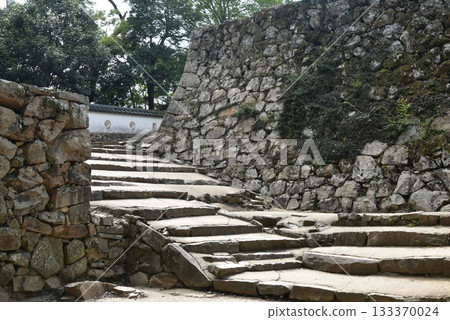 Ishigaki of Binaka Matsuyama Castle 133370024