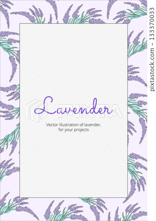 Minimal lavender floral template with space for text. Elegant botanical design for packaging, invitations, cards and cosmetics branding. Minimal lavender floral template with space for text. Elegant botanical design for packaging, invitations, cards and cosmetics branding. 133370033