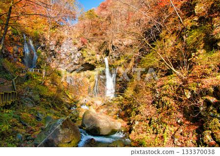 Urami Falls, dyed in autumn leaves, Nikko City, Tochigi Prefecture Urami Falls, dyed in autumn leaves, Nikko City, Tochigi Prefecture 133370038