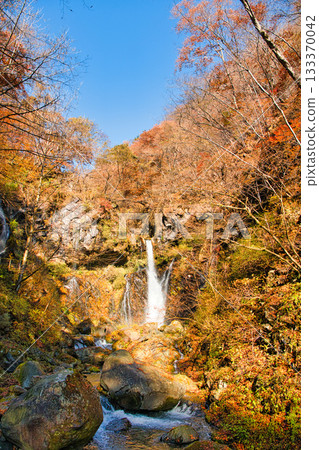 Urami Falls, dyed in autumn leaves, Nikko City, Tochigi Prefecture Urami Falls, dyed in autumn leaves, Nikko City, Tochigi Prefecture 133370042
