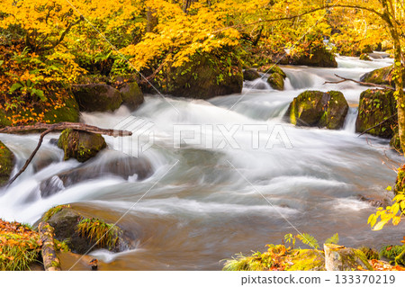 [Aomori Prefecture_Oirase Gorge] Dynamic scenery: Ashura's flow October 133370219