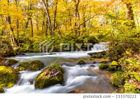[Aomori Prefecture_Oirase Gorge] Dynamic scenery: Ashura's flow October 133370221