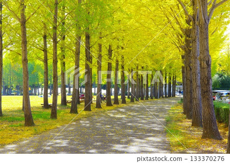 Ichigo Namiki 133370276