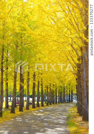 Ichigo Namiki Ichigo Namiki 133370277