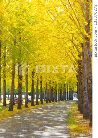 Ichigo Namiki 133370278