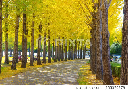 Ichigo Namiki Ichigo Namiki 133370279