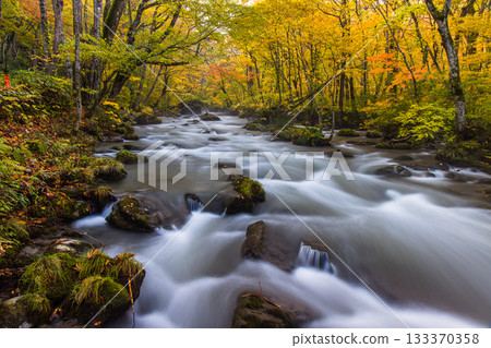 [Aomori Prefecture_Oirase Gorge] The beautiful autumnal flow of the Sanran River in October 133370358