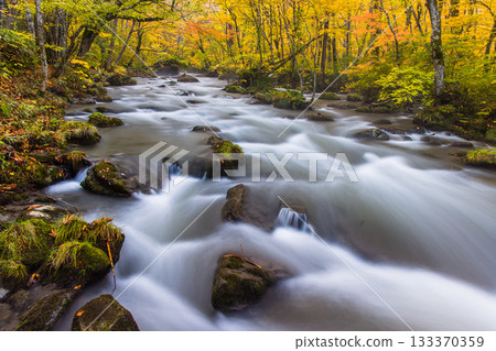 [Aomori Prefecture_Oirase Gorge] The beautiful autumnal flow of the Sanran River in October 133370359