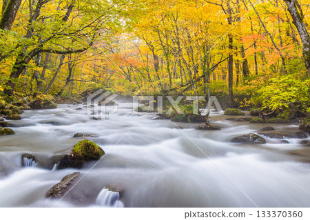 [Aomori Prefecture_Oirase Gorge] The beautiful autumnal flow of the Sanran River in October 133370360