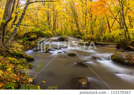 [Aomori Prefecture_Oirase Gorge] The beautiful autumnal flow of the Sanran River in October 133370367