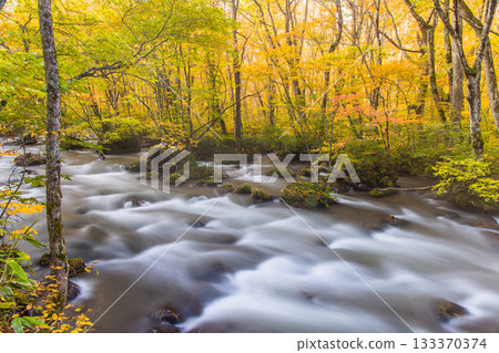 [Aomori Prefecture_Oirase Gorge] The beautiful autumnal flow of the Sanran River in October 133370374