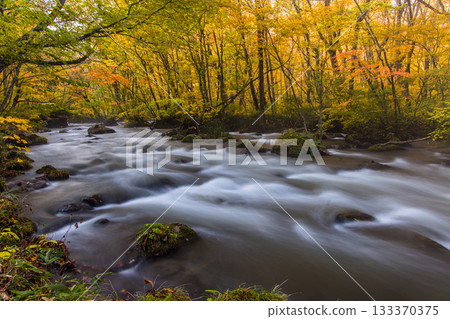 【青森縣_奧入瀨峽谷】十月山瀾川美麗的秋色 【青森縣_奧入瀨峽谷】十月山瀾川美麗的秋色 133370375