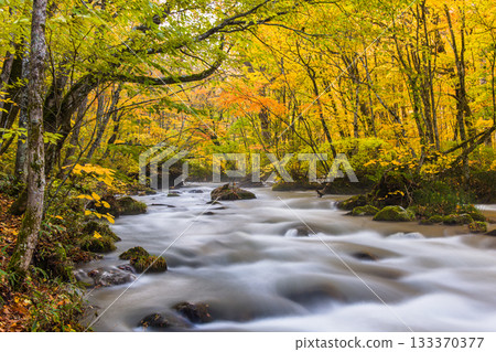 [Aomori Prefecture_Oirase Gorge] The beautiful autumnal flow of the Sanran River in October 133370377