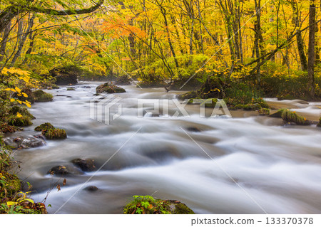 【青森縣_奧入瀨峽谷】十月山瀾川美麗的秋色 【青森縣_奧入瀨峽谷】十月山瀾川美麗的秋色 133370378