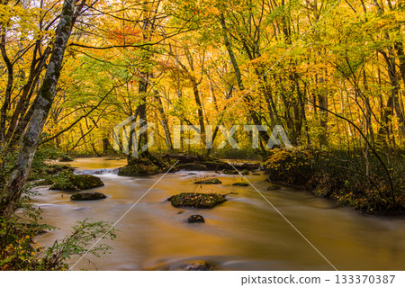 [Aomori Prefecture_Oirase Gorge] The beautiful autumnal flow of the Sanran River in October 133370387