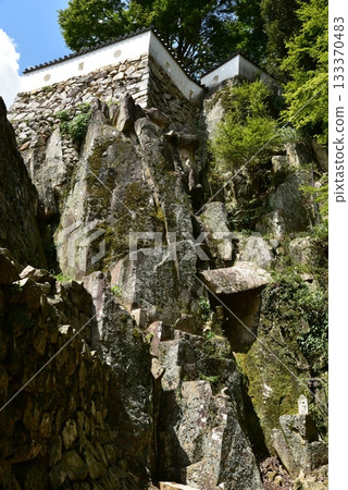 Binaka Matsuyama Castle的石垣 133370483