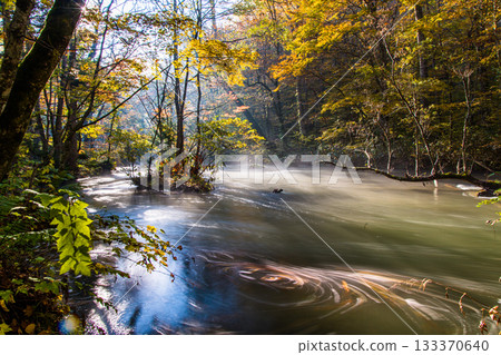 [Aomori Prefecture_Oirase Gorge] Autumnal Ishigedo in October 133370640