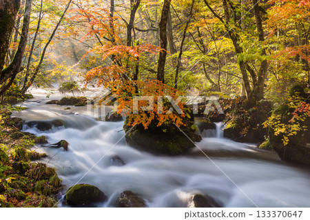 [青森縣_奧入瀨溪谷]十月的秋色石枝戶 133370647