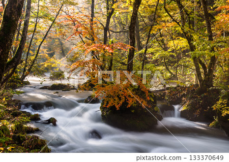 [Aomori Prefecture_Oirase Gorge] Autumnal Ishigedo in October 133370649