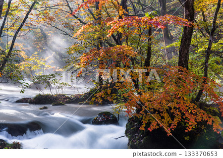 [青森縣_奧入瀨溪谷]十月的秋色石枝戶 133370653