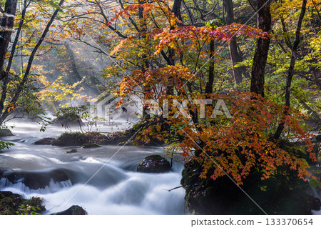 [Aomori Prefecture_Oirase Gorge] Autumnal Ishigedo in October 133370654